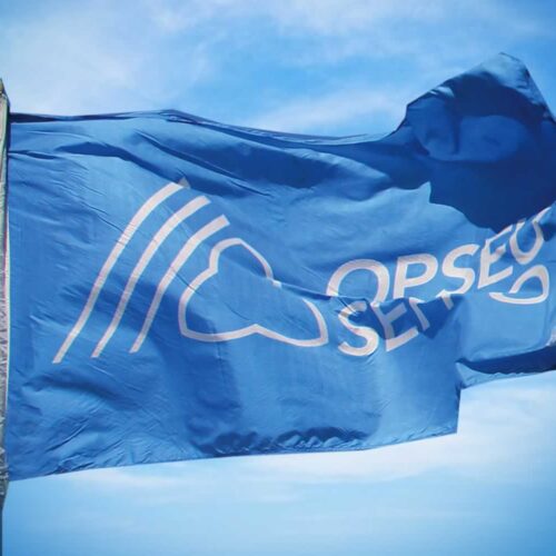 OPSEU SEFPO flag