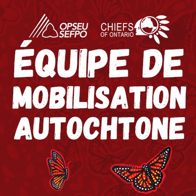 Affirmation of Indigenous rights ‘a proud moment’: OPSEU’s Thomas
