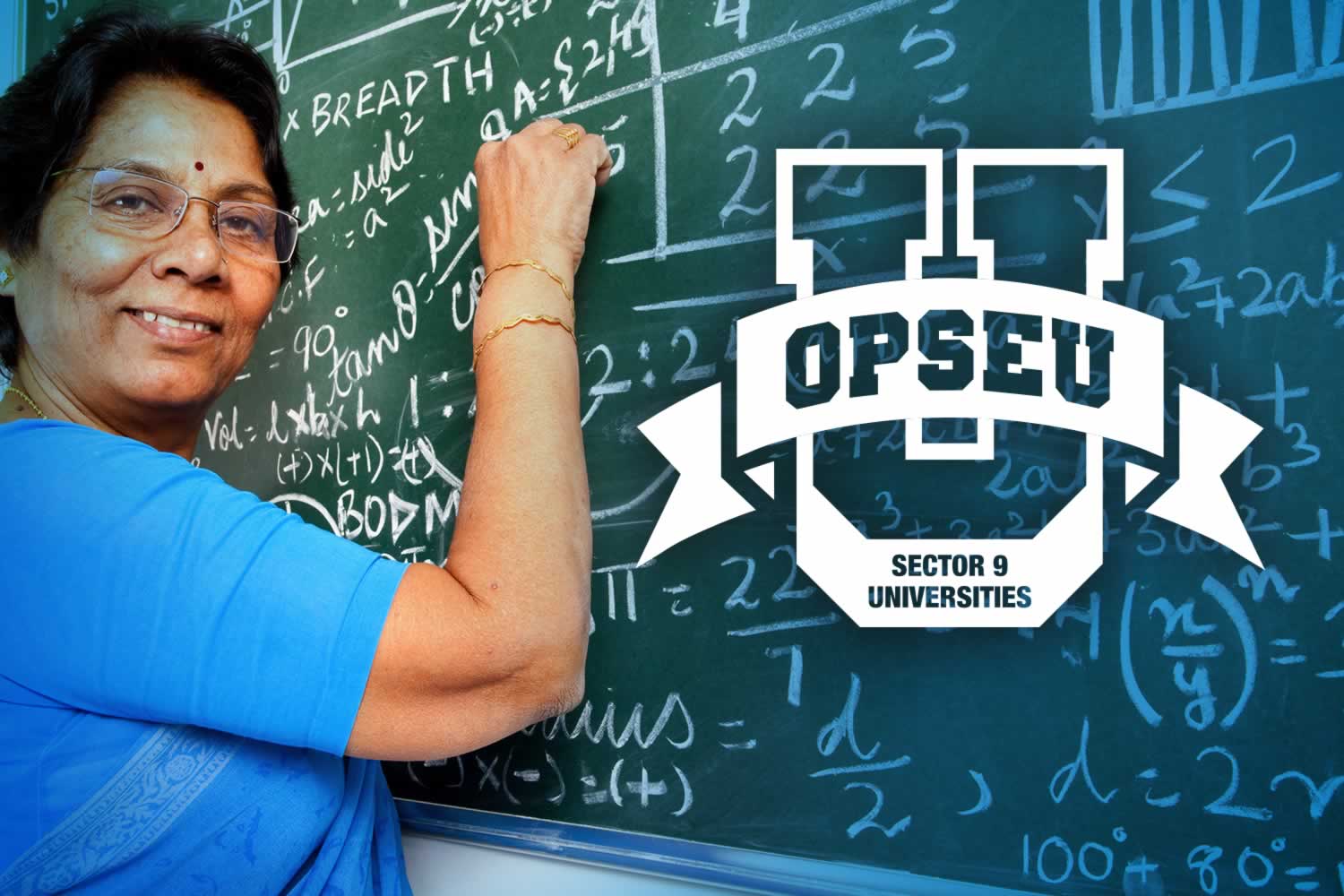 OPSEU Universities, Sector 9