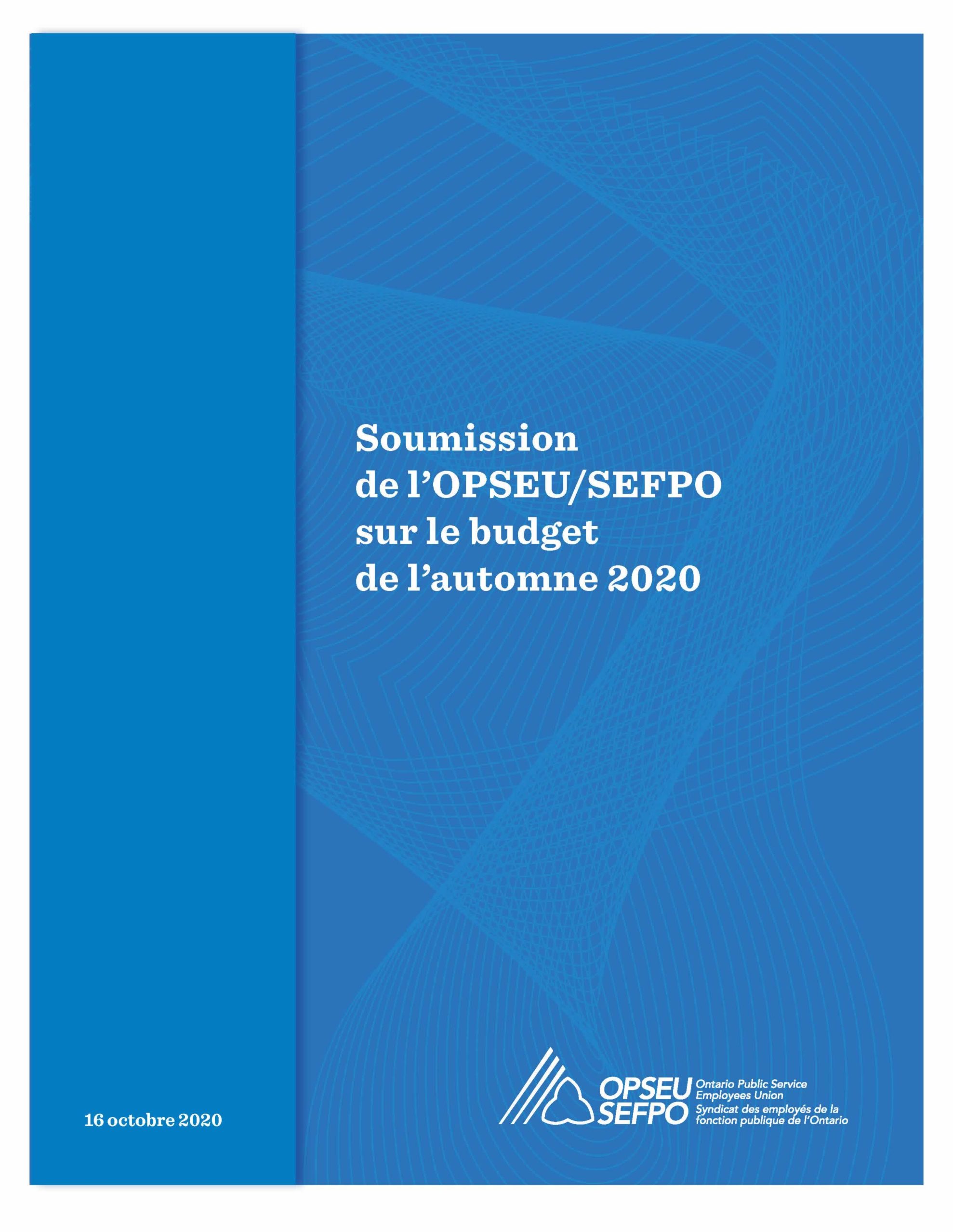OPSEU/SEFPO 2020 Fall Pre-Budget Submission