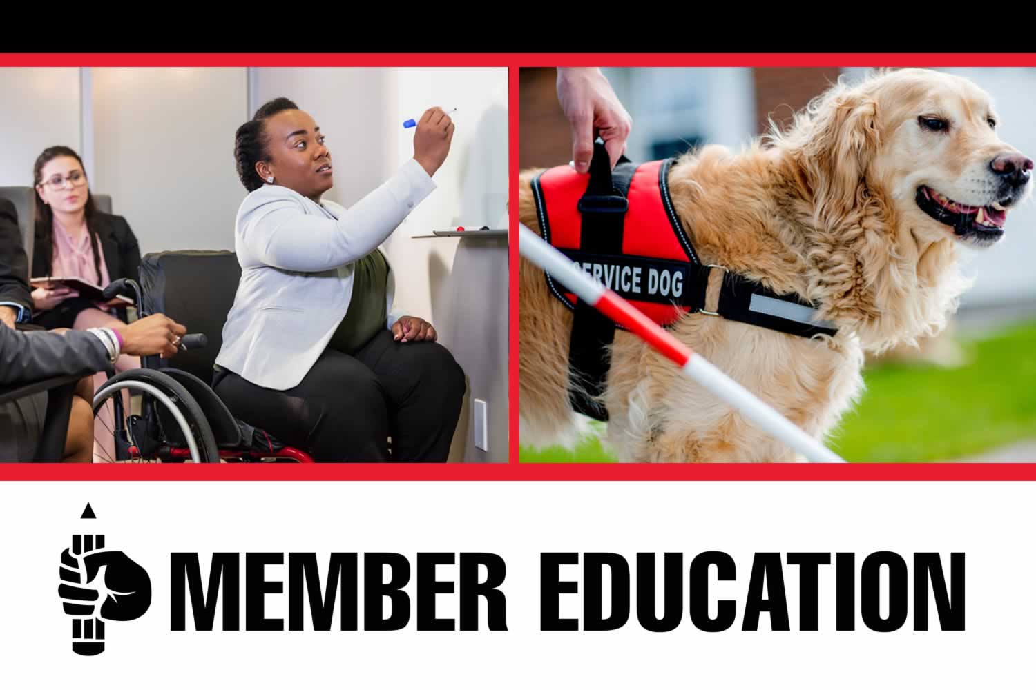 Member Education. Image of woman in wheelchair and service dog