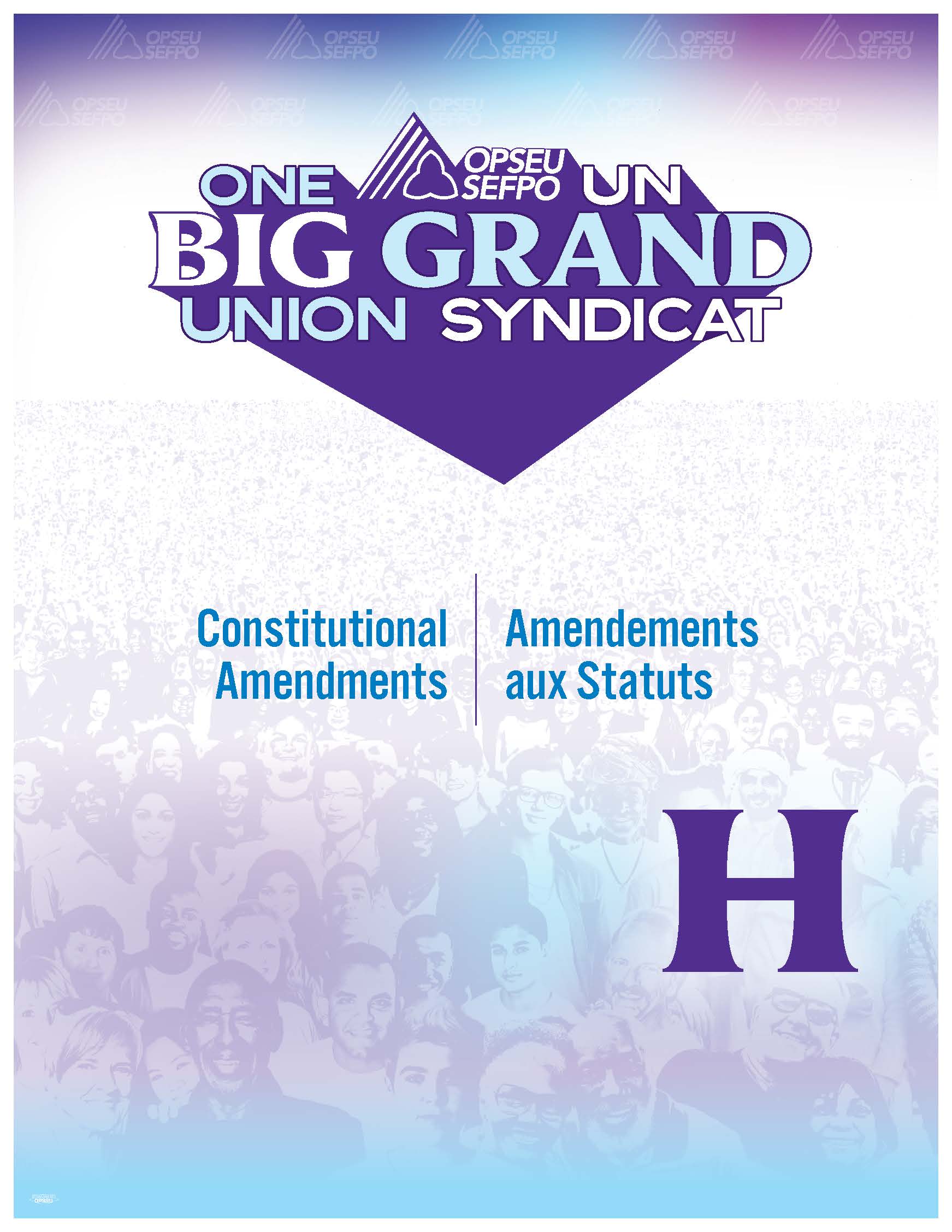 Convention 2026 Constitutional Amendments – Section H